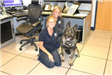 Two dispatchers and police dog