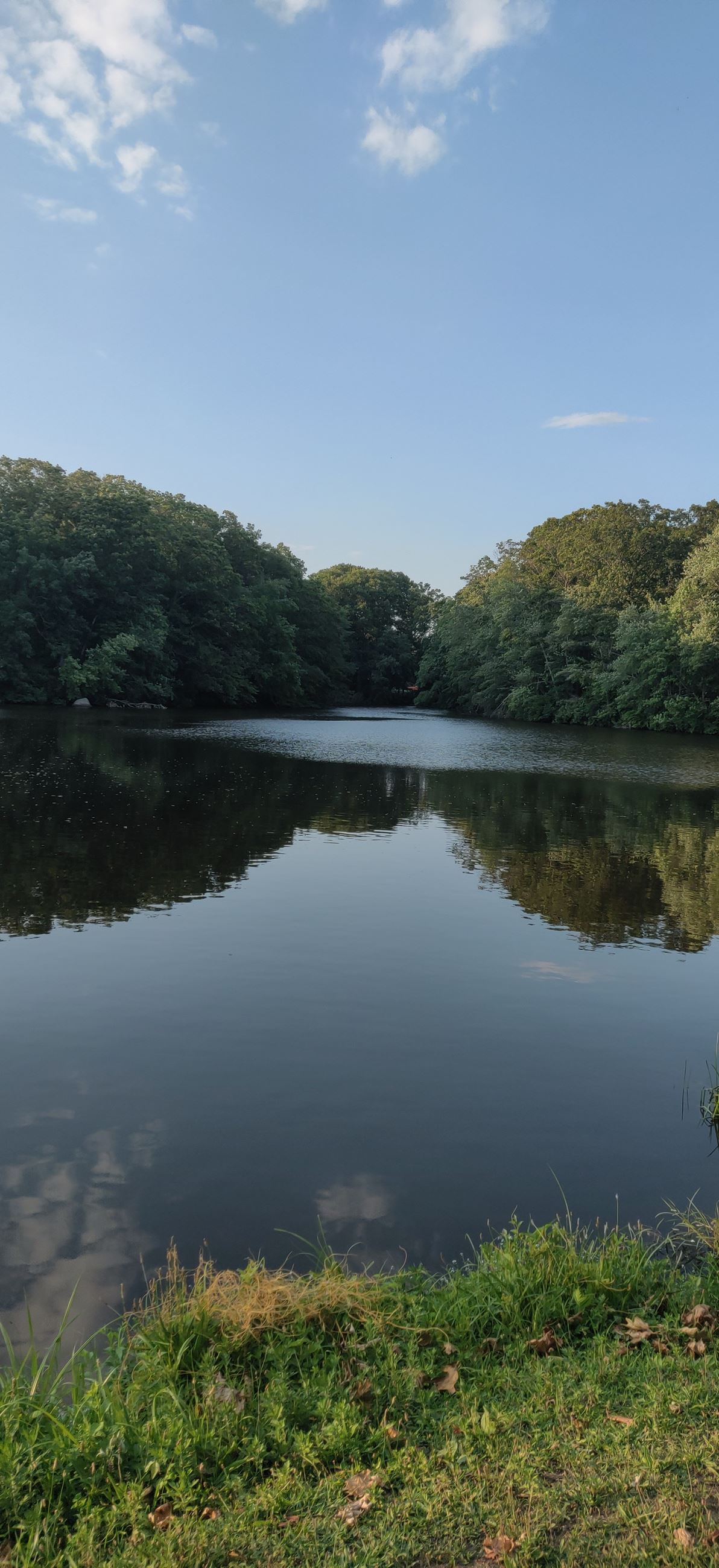 Burr Pond Conservation Area Fall River Avenue