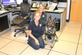 Two dispatchers and police dog