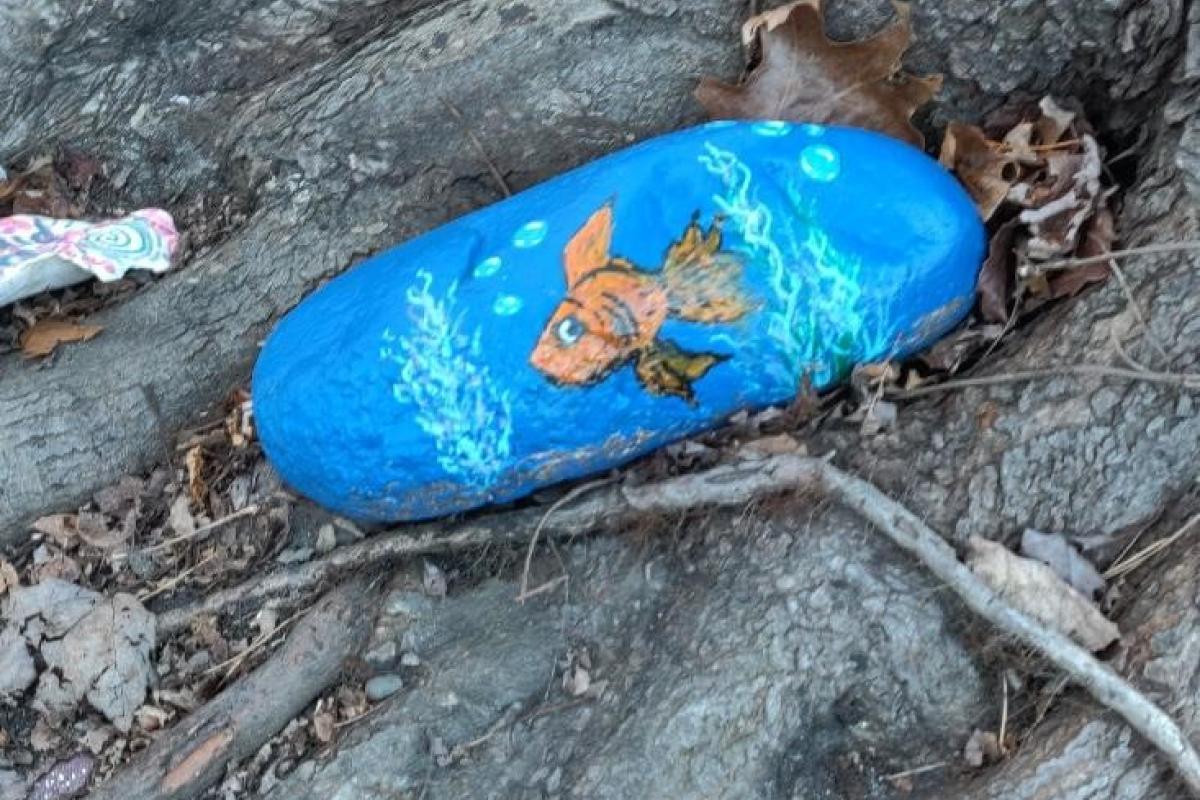 Rock with Fish Painted on It