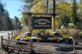 Gammino Pond Sign